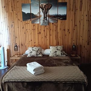 Tenerife Dreams Coffee&Bed